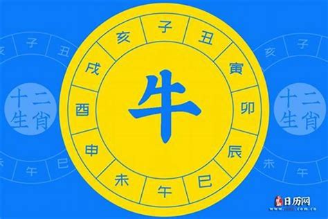 牛五行|牛的五行属性